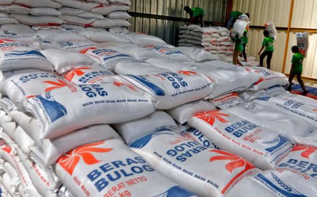 Abai Harga Pangan, Puluhan Penjabat Kepala Daerah Dapat Peringatan