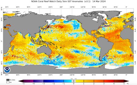 El Nino Akan Digantikan La Nina, Simak Penjelasan BMKG