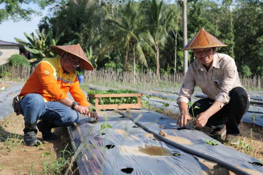 Sokong Integrated Farming System di Ayunan Papan Tapin, PT BRE Salurkan Belasan Ribu Bibit