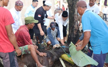 Polres Batola Berbagi Ratusan Kantong Daging Kurban Kepada Masyarakat