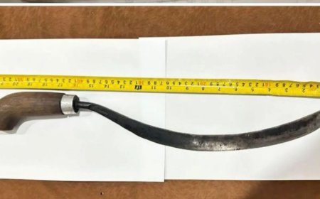 Perkara Pohon Pisang, Dua Lansia di Kelua Tabalong Terlibat Perkelahian