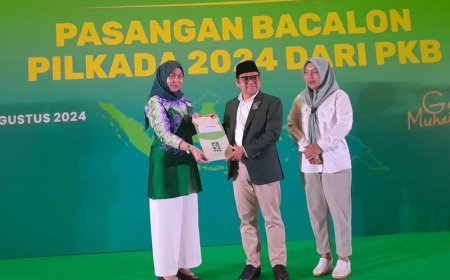 Tak Terbendung! PKB Juga Dukung Lisa Halaby di Pilkada Banjarbaru 2024