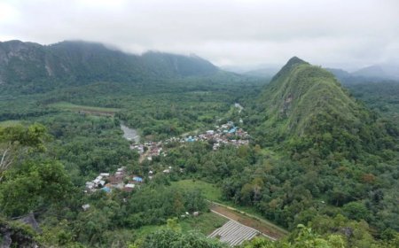 Terpilih Kembali, Aulia-Mansyah Komitmen Jaga Pegunungan Meratus