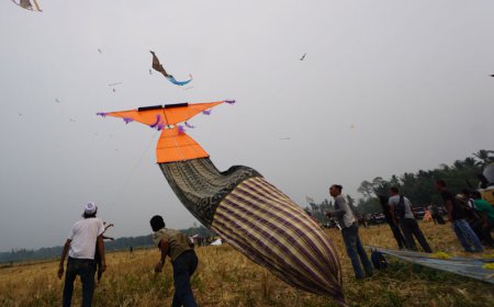 Layangan Dandang Tapin Ditetapkan Menjadi WBTb Indonesia