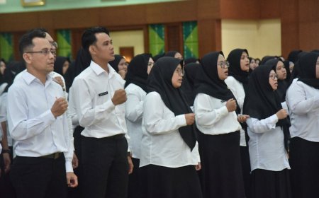 Pemprov Kalsel Buka Lowongan 1.493 Formasi PPPK 2024