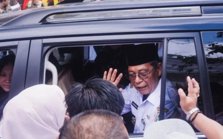 Roy Kembali Jabat Plh Gubernur Kalsel Usai Paman Birin Mundur