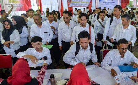 Menyoal PPPK Paruh Waktu, Berikut Aturannya