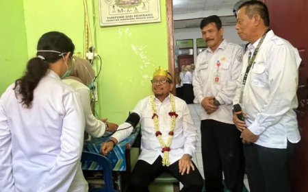 Pantau PKG di Anjir Pasar Batola, Waka Staf Kepresidenan Beri Ponten Positif