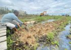 Atasi Keterbatasan Lahan, Petani Cabai Hiyung Tapin Lakukan Metode Tanam Apung