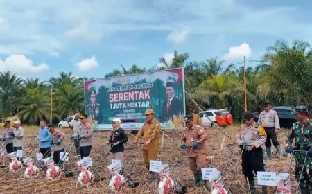Dukung Program Ketahanan Pangan di Banjar, PT Palmina Utama Sediakan 5 Hektare Lahan