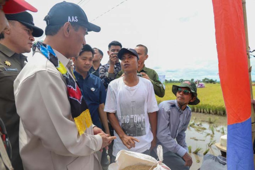 Respons Kesulitan Petani, Menteri Pertanian Copot Jabatan Pimwil Bulog Kalsel