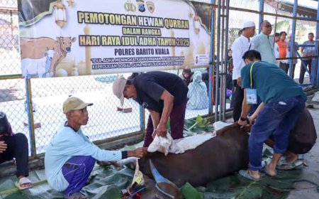 Berkah Iduladha 1446 Hijriah, Polres Batola Gelar Pemotongan dan Pembagian Hewan Kurban