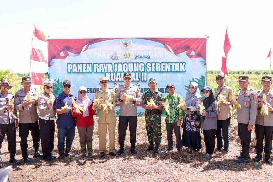 Dukung Swasembada Pangan, Polres Batola Panen Raya Jagung di Bakumpai
